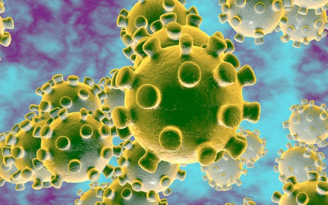 Coronavirus, ¿qué saber?